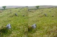 Corringdon Ball Stone Row Complex (27 KB)