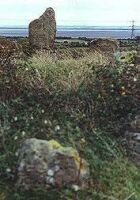 A view looking East along the chamber and passage axis of the Heston Brake chambered tomb in Gwent (15 KB)