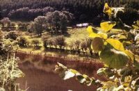 Cwm Rheidol, Dyfed (51 KB)