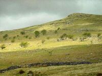Higher Piles, Sharp Tor, Dartmoor (48 KB)