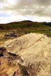 Garleigh Moor rock carvings, Northumberland, photographed in July 1989 (129 KB)
