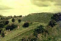 Hambledon Hill hill-fort, Dorset, photographed in June 1991 (76 KB)