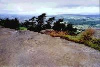 The Hanging Stones carved rock, Rombalds Moor, West Yorkshire, photographed in July 1988 (83 KB)