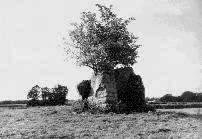 Lugbury long barrow, Wiltshire, photographed in September 1990 (66 KB)