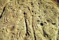 Old Bewick cup-and-ring marked stone, Northumberland, photographed in July 1989 (144 KB)