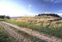 White Sheet Hill long barrow, Wiltshire, photographed in November 1996 (113 KB)