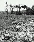 Dunchraigaig cairn, Mid Argyll, photographed in June 1990 (125 KB)