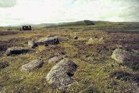 Fowlis Wester Western stone circle, Perthshire, photographed in June 1990 (92 KB)
