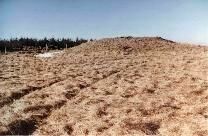 Crugyrafan round cairn, South Wales, photographed in January 1987 (136 KB)