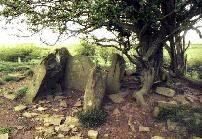 Ffostill North chambered long cairn, Brecknockshire, photographed in May 1991 (132 KB)