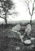 Penywyrlod long cairn, Llanigon, Breconshire, photographed in May 1991 (135 KB)