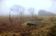 Nicholaston chambered cairn, Gower, photographed in March 1988 (69 KB)