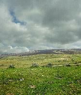 Pedwar Maen stone row, Radnorshire, photographed in April 2004 (358 KB)